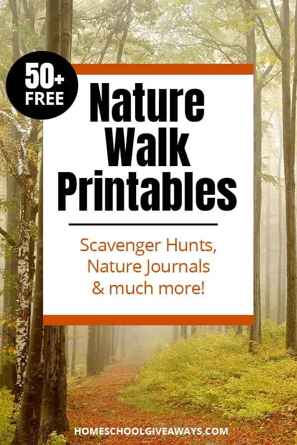 foggy forest trail with text overlay Over 50 Free Nature Walk Printables