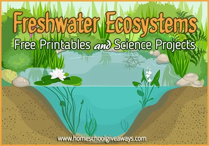 Freshwater Ecosystems FREE Printables and Science Projects text with illustrated image of a pond