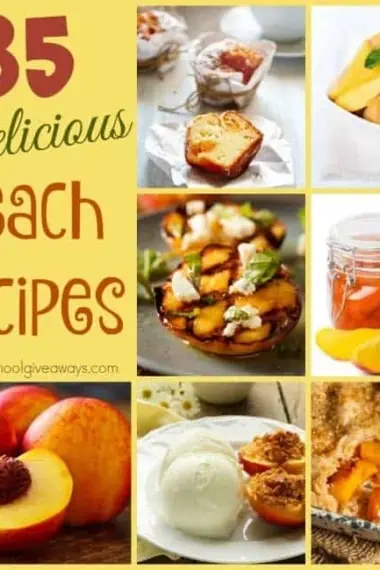Peaches are a delicious fruit with so many uses. Check out these 85 DELICIOUS Peach Recipes you can make all year long! :: www.homeschoolgiveaways.com