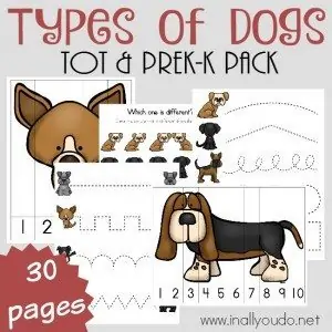 If you're studying Dogs this year, or mammals, don't miss these great resources. Includes printables, books, crafts, activities & recipes. :: www.homeschoolgiveaways.com