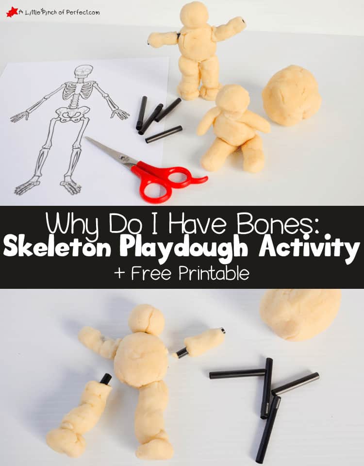 Skeleton Playdough Activity with FREE Printable