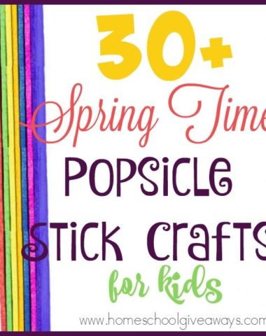 Do you hoard craft supplies, but have no idea what to do with them? Check out these super cute Spring-Time Popsicle Stick Crafts and Animals that are sure to make your kids smile! :: www.homeschoolgiveaways.com