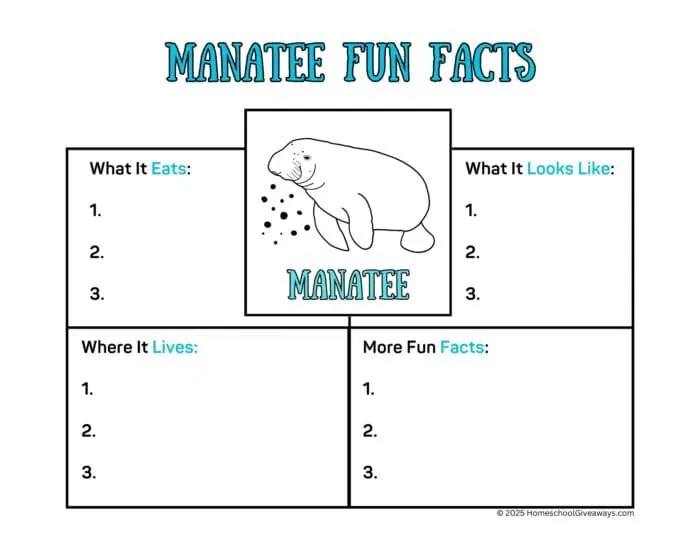 Fun Facts about manatees worksheet with manatee and boxes to record facts