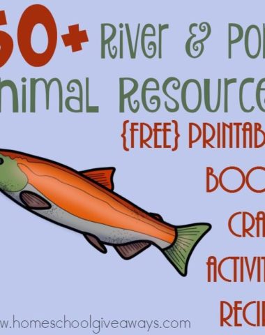 If you're studying Rivers & Ponds this year, don't miss these great resources for the animals and their habitats! :: www.homeschoolgiveaways.com
