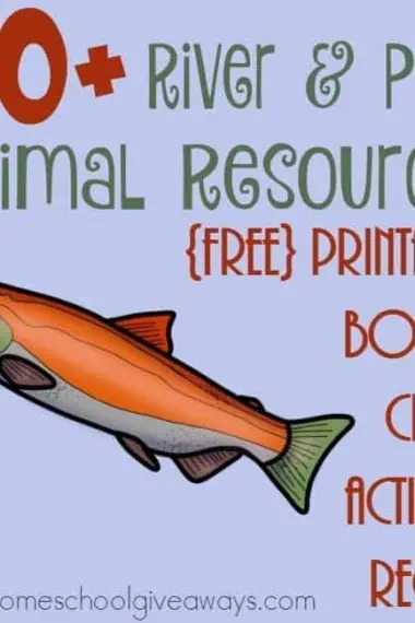 If you're studying Rivers & Ponds this year, don't miss these great resources for the animals and their habitats! :: www.homeschoolgiveaways.com