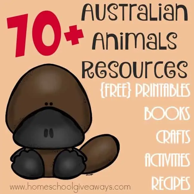 If you're studying Australian Animals, check out these great resources! From printables to crafts to books to recipes and more! :: www.homeschoolgiveaways.com