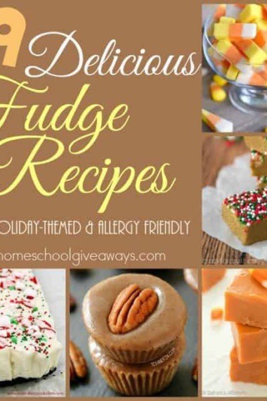 If you love fudge as much as I do, you don't want to miss these delicious recipes! From classic recipes to allergy friendly to low carb and more! :: www.homeschoolgiveaways.com