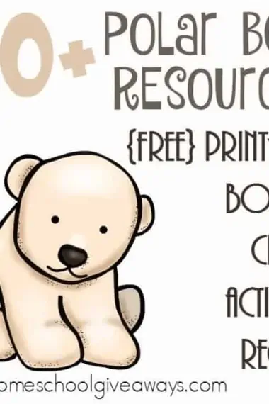 Polar bears are one of my favorite animals to watch at the zoo. They are so playful and fun! With these resources, you can learn all about them before seeing them! Over 40 printables, books, crafts, recipes and more! :: www.homeschoolgiveaways.com