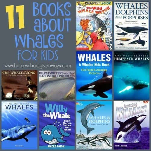 If you're studying whales or marine life this year, this BIG list of whale resources is perfect! :: www.homeschoolgiveaways.com