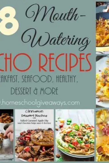 Who doesn't love a nice plate of nachos? There are so many different varieties and options out there! Check out these mouth-watering recipes that are sure to fill your stomach. :: www.homeschoolgiveaways.com