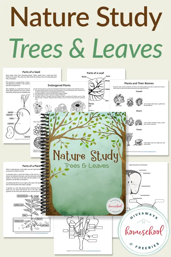 nature study for tees & leaves cover page and preview pages