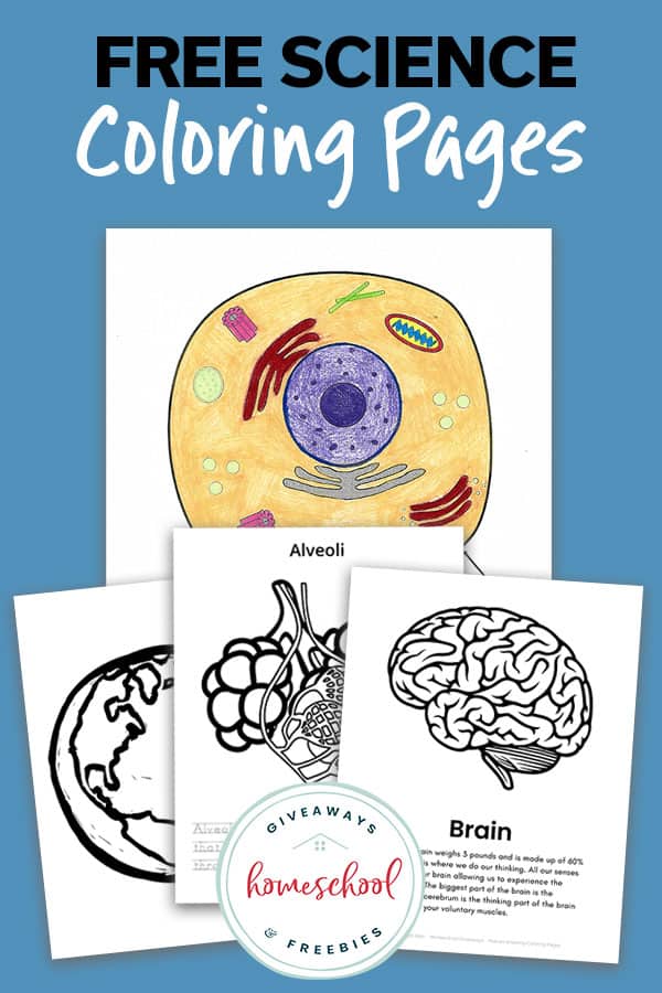 Free Printable Science Coloring Pages For Kids Free Printable Science Coloring Pages For Kids