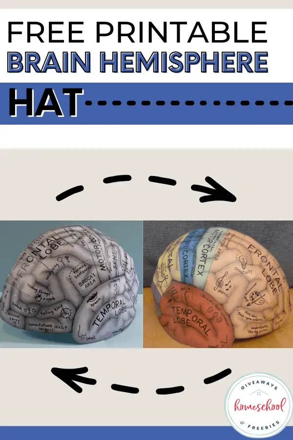 Free Printable Brain Hemisphere Hat