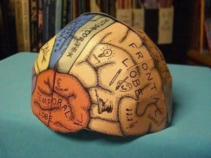 Free Printable Brain Hemisphere Hat - Homeschool Giveaways