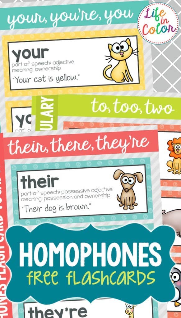 Absolutely free Printable Homophone Flashcards And Phrase Wall Terms graphic relating to Word Wall Printable identify No cost Printable Homophone Flashcards And Term Wall Words and phrases