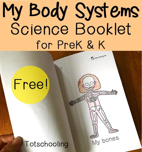 My Body Systems FREE Printable Book