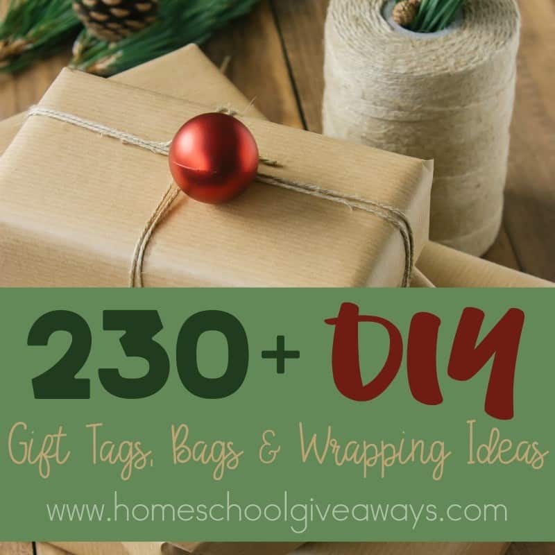 230+ DIY Gift Tags, Bags & Wrapping Ideas