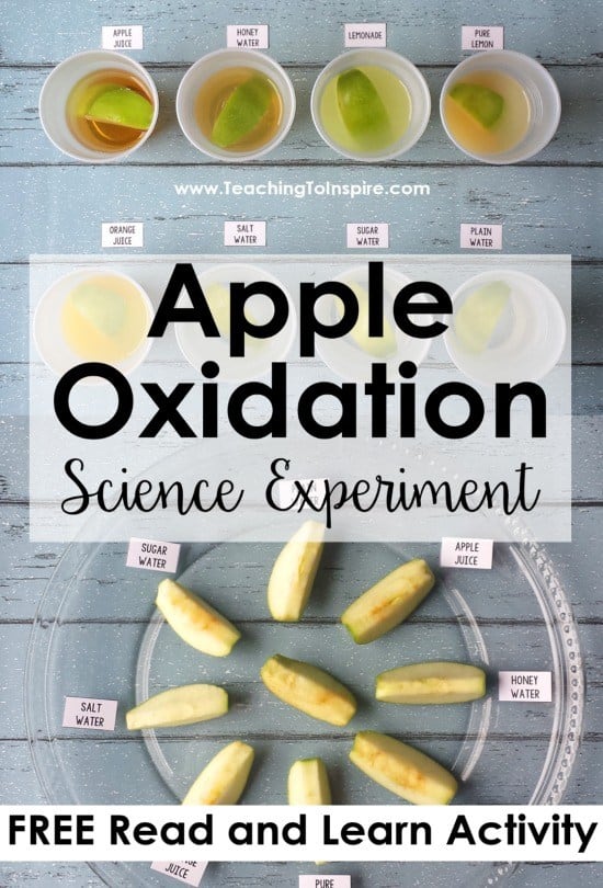 Apple Oxidation Experiment