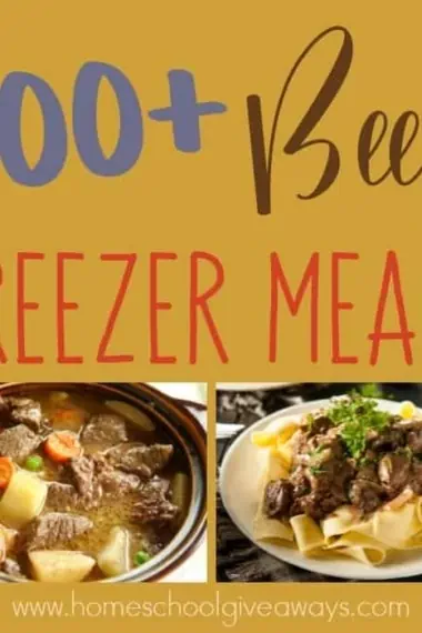 Busy nights don't have to mean eating out! Freezer meals are a great way to help you save money and eat home - even during the busy seasons of life! Check out these Beef Freezer Recipes that are sure to please! :: www.homeschoolgiveaways.com