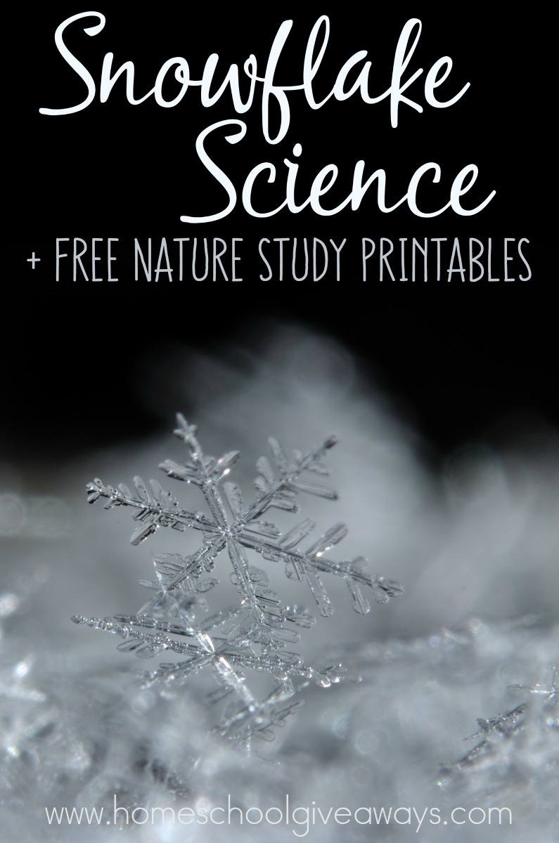 snowflake-science-and-free-nature-study-printables