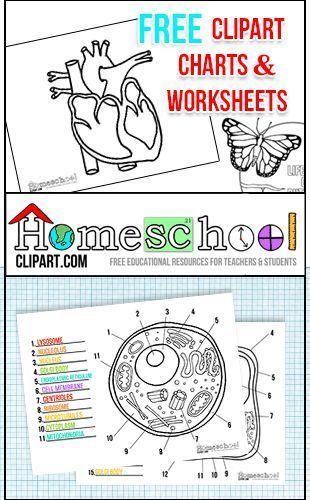 free clipart charts and worksheets homeschool giveaways