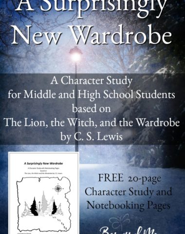 Help your middle and high schooler learn about biblical character through this fun and unique Character Study based on C.S. Lewis' famous book, The Lion, the Witch and the Wardrobe. :: www.homeschoolgiveaways.com