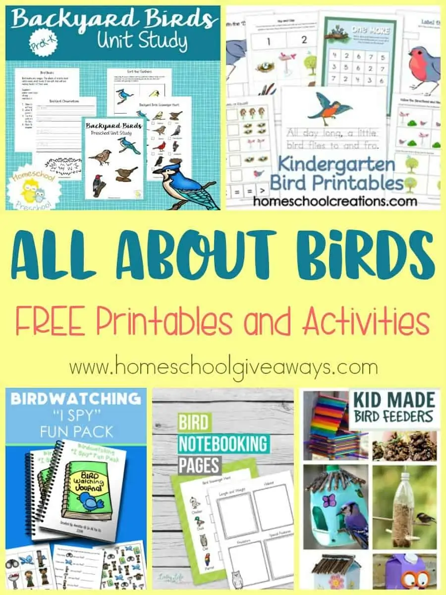 Spring is in the air and that means birds are chirping and singing. Take some time to get out and study those around you this year with these FREE printables and activities! :: www.homeschoolgiveaways.com