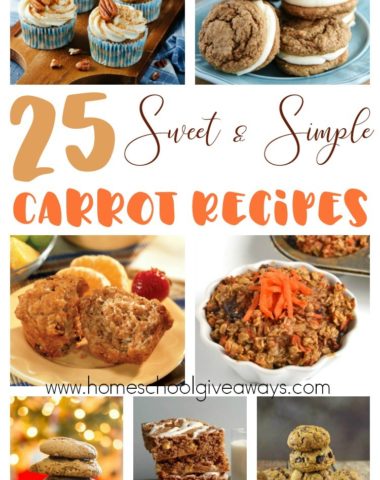 April 4th is International Carrot Day! Why not celebrate with some new and delicious Sweet & Simple Carrot Recipes! Check these out for inspiration! :: www.homeschoolgiveaways.com
