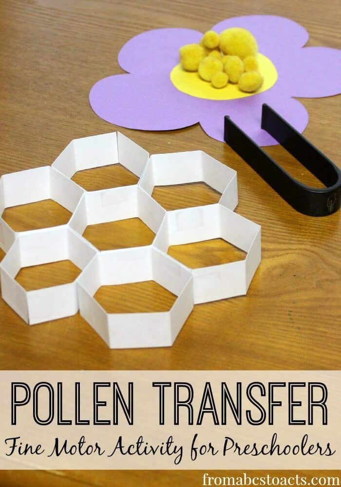 Pollen Transfer Fine Motor Activity for Preschoolers - Homeschool Giveaways