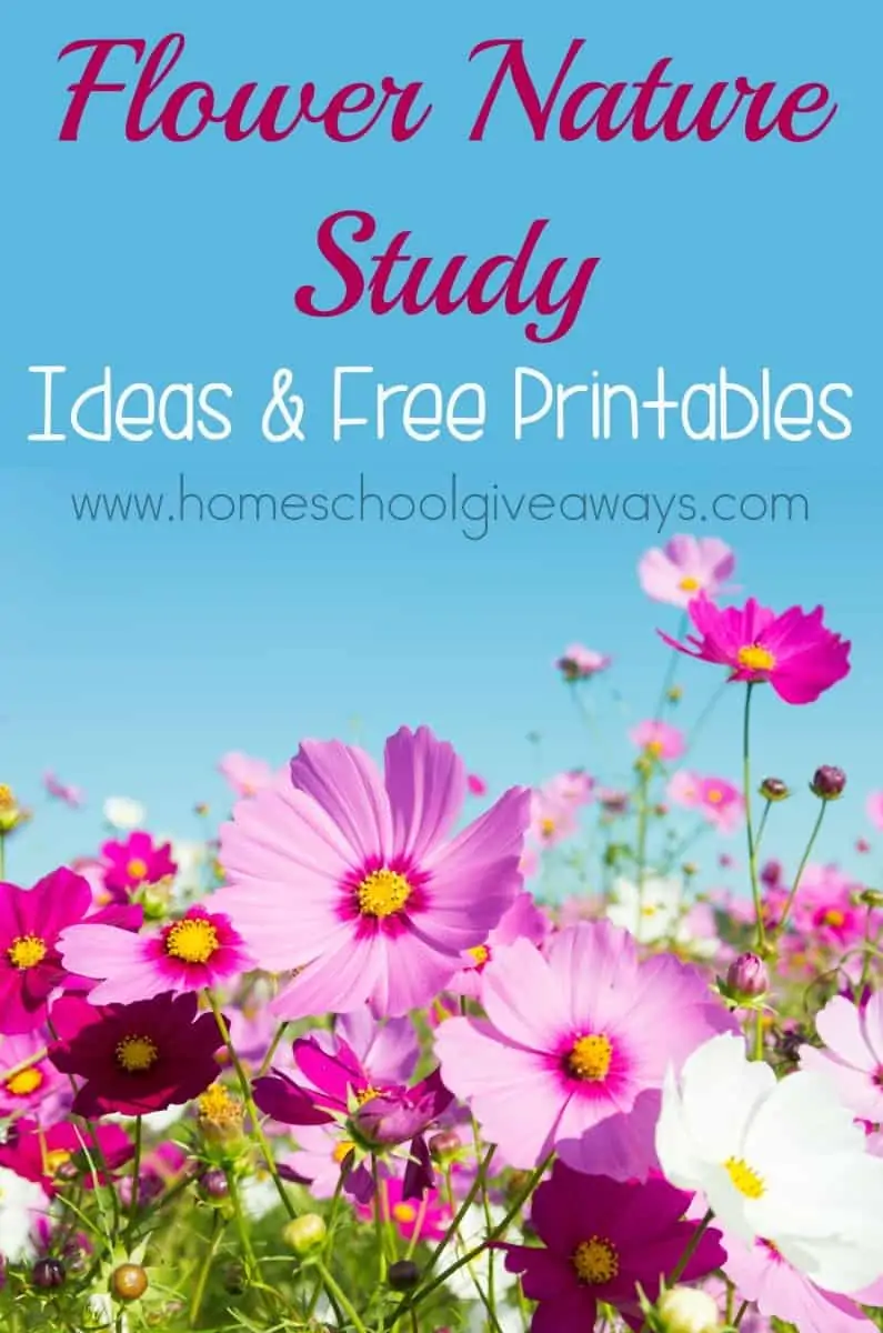 Flower Nature Study Ideas & Free Printables