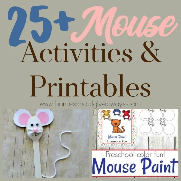 Mice may not be welcome in your home, but they sure make for some fun studies! Check out these 25+ Mouse Activities & Printables. :: www.homeschoolgiveaways.com
