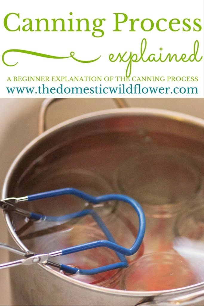 The Canning Process Explained with FREE Printable Homeschool Giveaways