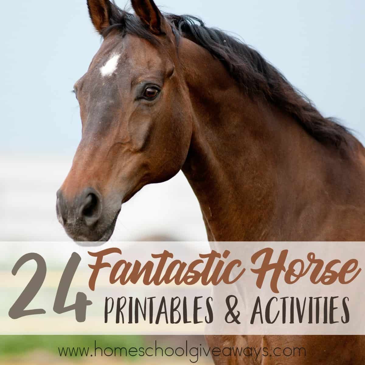 Whether your children love horses, want to learn about them or you're working through a series on farm animals, these Horse printables and activities are perfect! :: www.homeschooolgiveaways.com