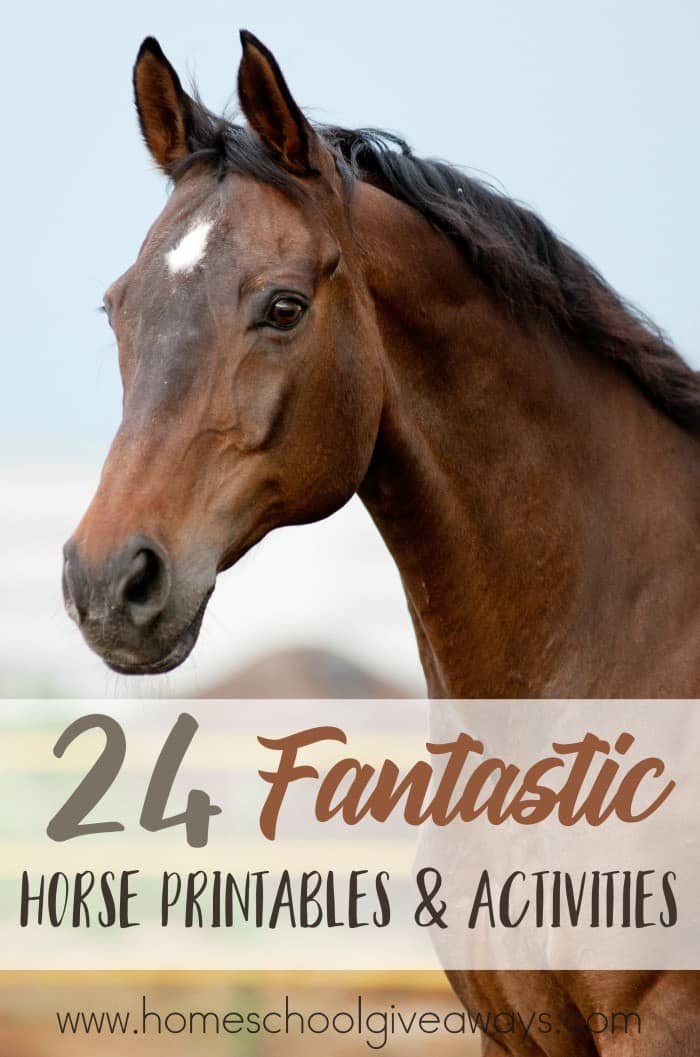 24 Fantastic Horse Printables &amp; Activities - Homeschool Giveaways