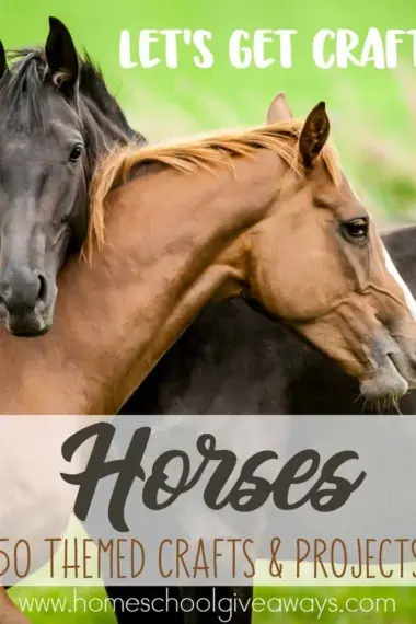 If you're studying horses, you'll want to add in some of these fun crafts too! :: www.homeschoolgiveaways.com