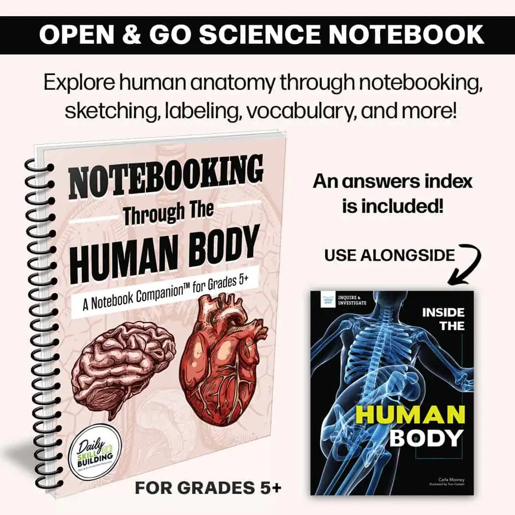 human anatomy notebook