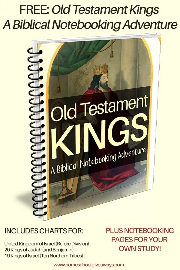 Old Testament Kings workbook cover