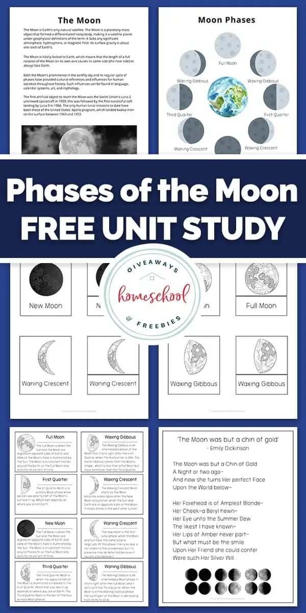 Phases of the Moon Free Unit Study pages printed out