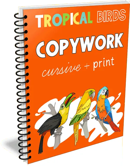 Tropical Birds Copywork Cursive and Print orange colored workbook with illustrated tropical birds on the cover and a white colored background