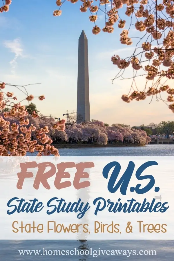 US State Studies_pin