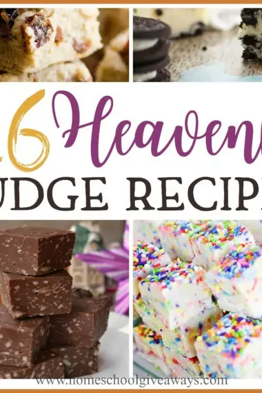 Even though I love the classic fudge recipe, I love tasting new variations too. If you’re looking for some delicious new treats this year, check out these heavenly fudge recipes that will melt in your mouth. #fudge #Christmas #holiday #recipes