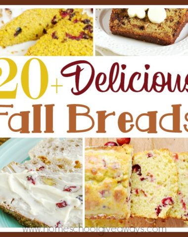 Does the cool weather of fall get you in the mood for baking? These fall breads are perfect for any gathering with family and friends, to give as gifts, or just for a delicious treat! #fall #baking #fallbreads #breads