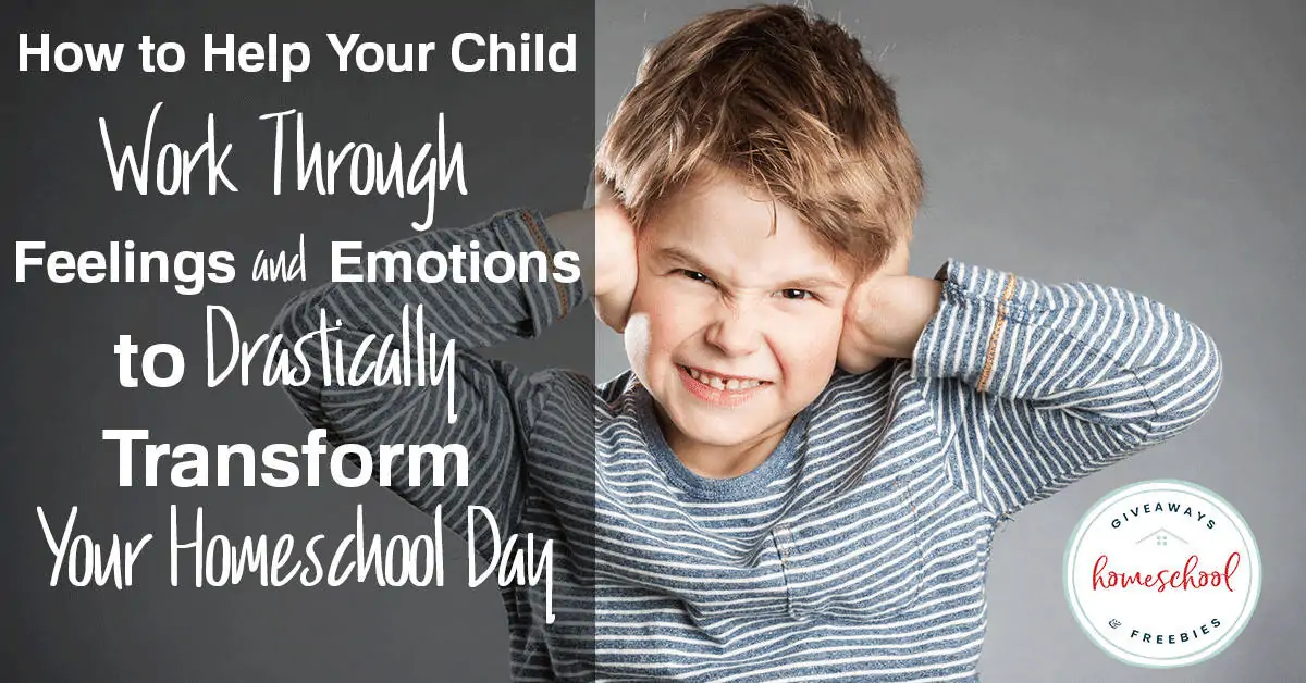 How to Help Your Child Through Feelings and Emotions to Drastically Transform Your Homeschool Day