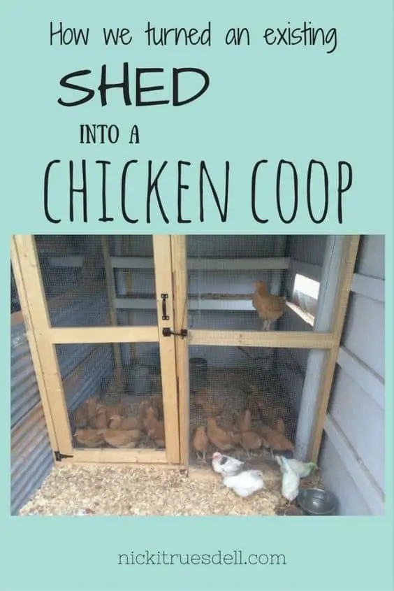 how we turned an existing shed into a chicken coop 