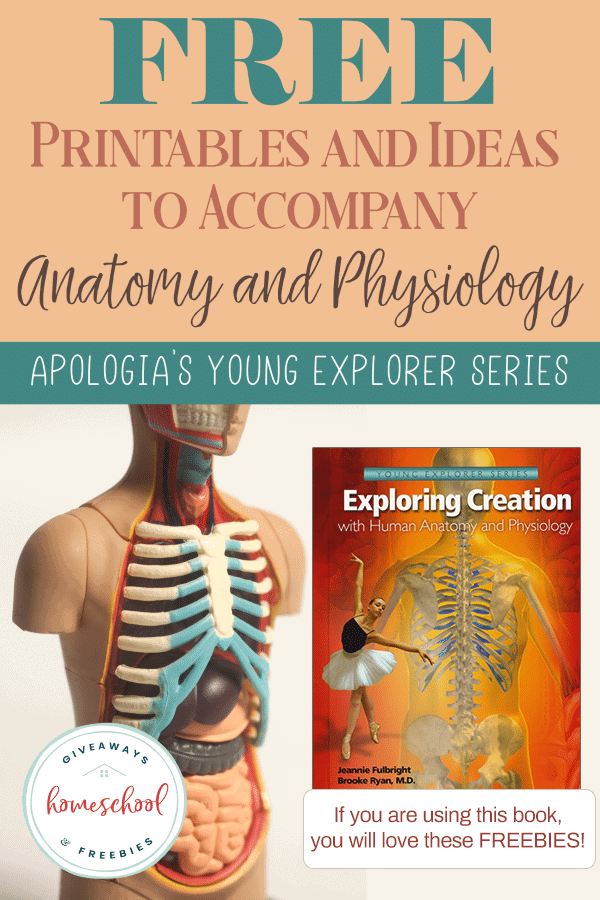 Free Human Body Systems Reading Comprehension Science vrogue.co