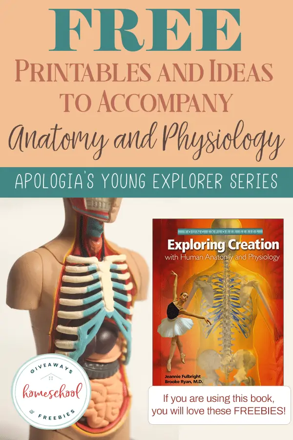 free printables and ideas to accompany anatomy and physiology Apologia\'s young explorer series