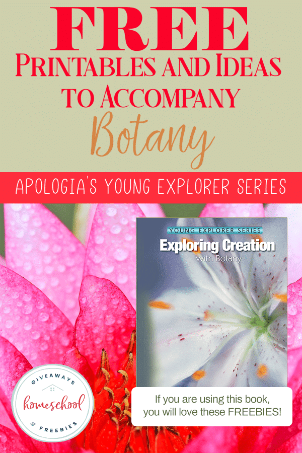 Free Printables and Ideas to Accompany Botany text with workbook cover and image background of flower petals with water droplets on it