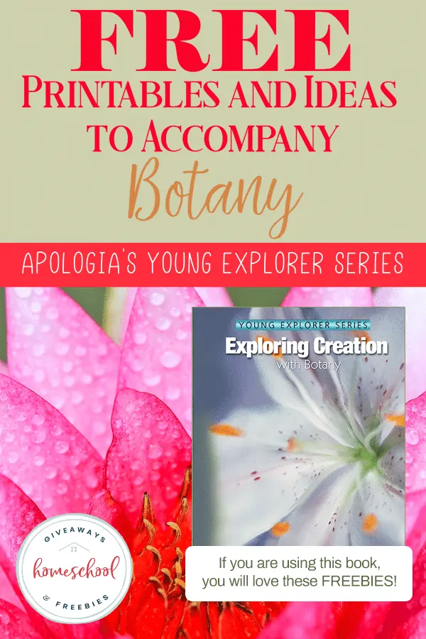 Free Printables and Ideas to Accompany Botany text with workbook cover and image background of flower petals with water droplets on it