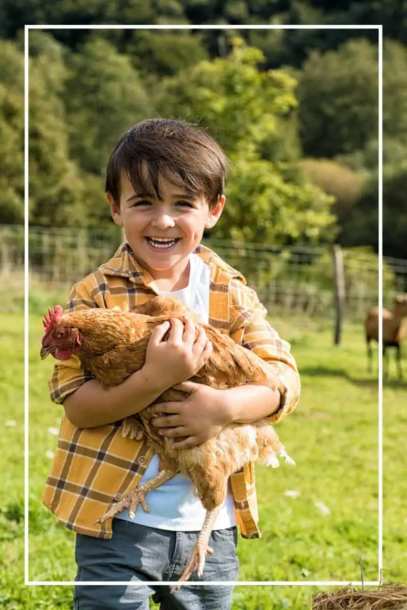 boy smiling holding a chicken in a pasture