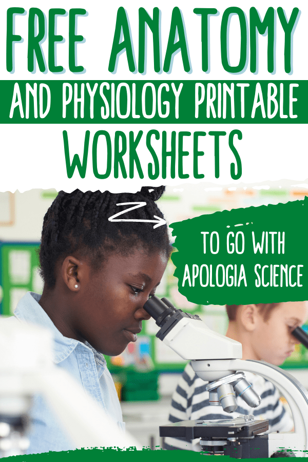 free-apologia-anatomy-physiology-worksheets-for-elementary-science